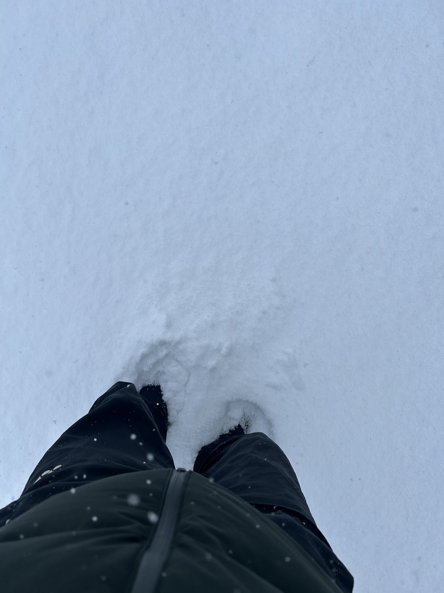 kabadsaG's tweet photo. まだまだ大雪なのエッグ https://t.co/4KX8SCgavI