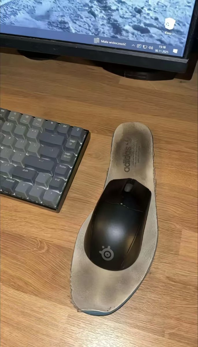 有骚逼需要吗
