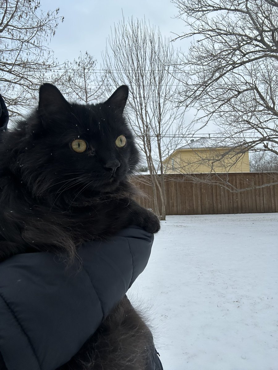 ☆ kristin ☆ tweet media