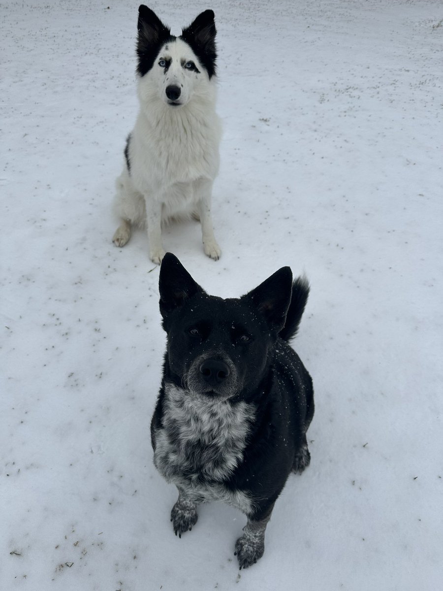 ☆ kristin ☆ tweet media