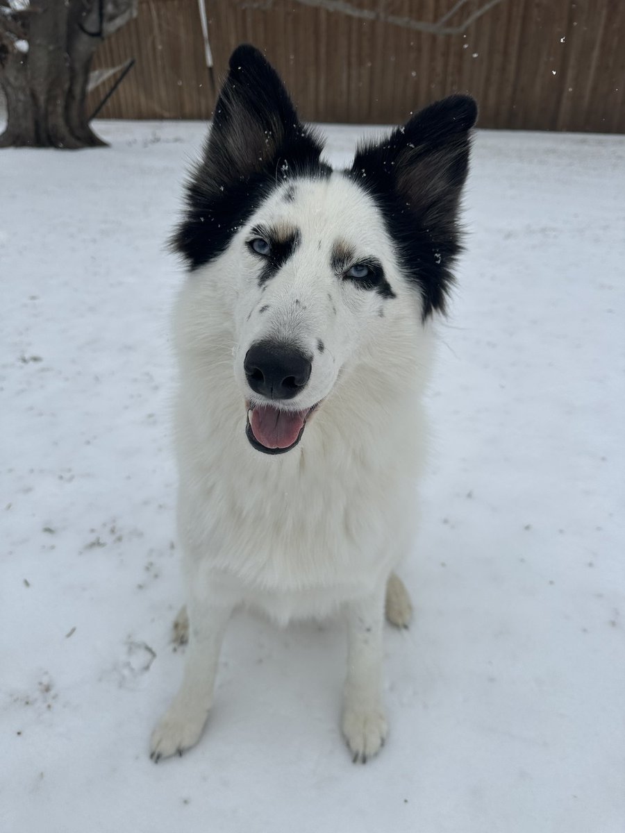 ☆ kristin ☆ tweet media