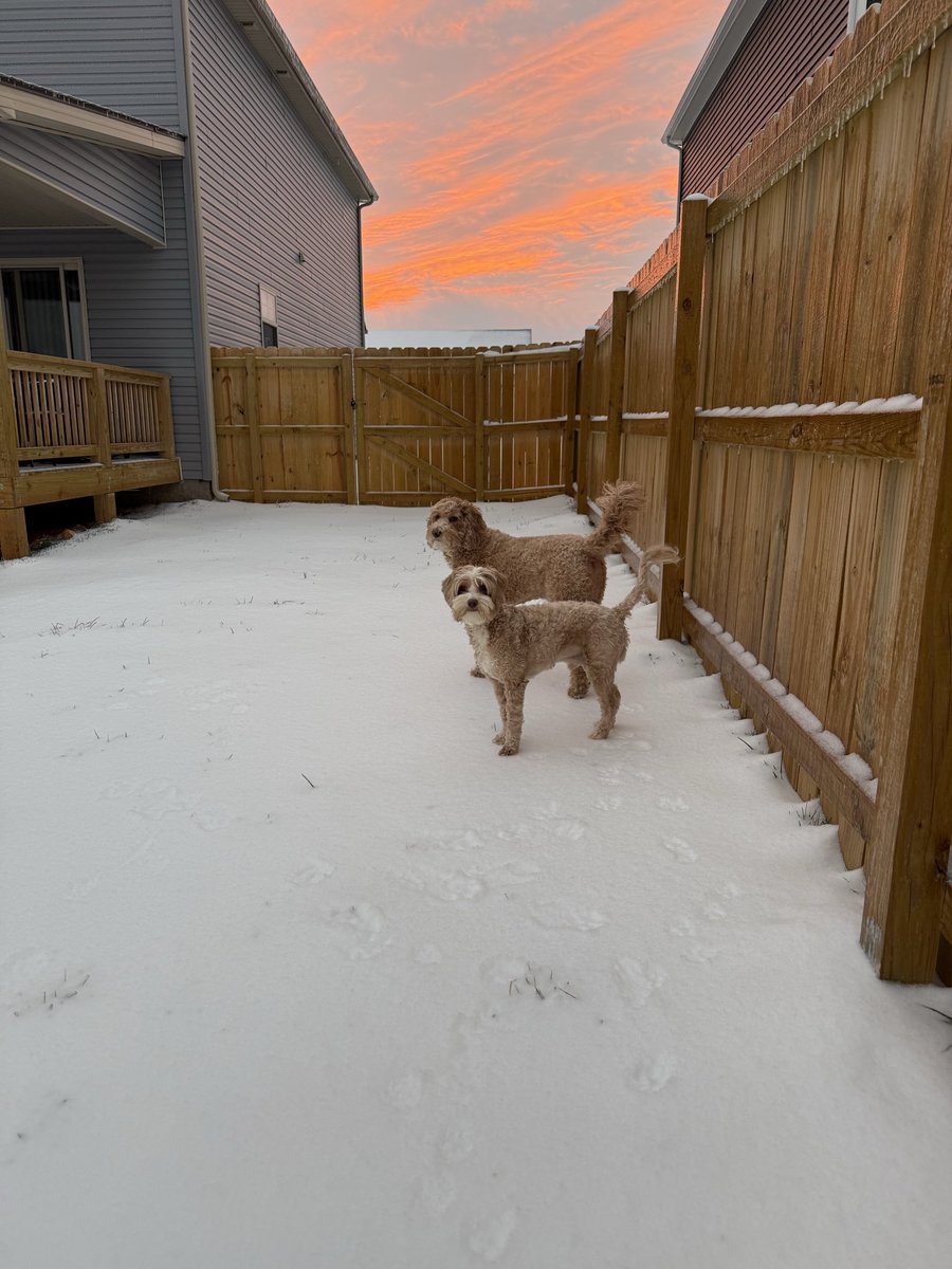 _lkidd's tweet photo. Snow day for The Doods! Hope everyone is staying safe and warm ❄️🥶 https://t.co/1r6z1z0y7X