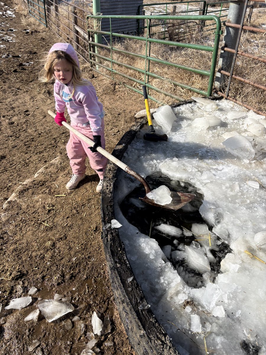 Justin McCaffrey tweet media