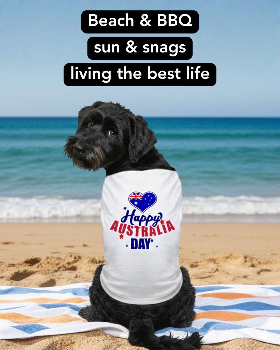 CateKemp tweet media