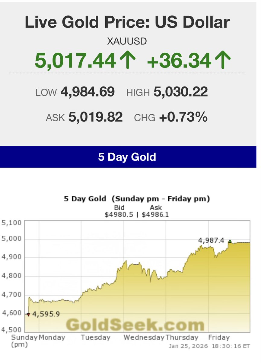 goldseek's tweet image. 🔥 $5,000 Gold!