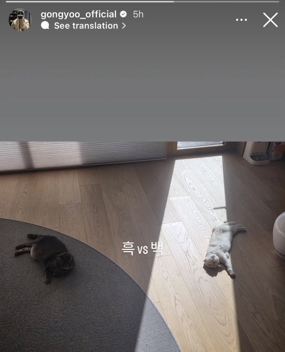 filmkoomi's tweet image. HOBI HAS A FAT CAT