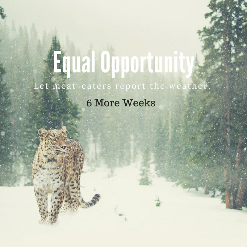 Did you know that a bag of our portable steak can keep you truckin' along for 8 days or more? 

Learn the secret: facebook.com/BeefJerkyOutle…

#coldweather #fern #StormFern #storm #stormprep #ICE #icestorm #winter 

<a href="/visitmilwaukee/">Visit Milwaukee</a> <a href="/WisconsinBBB/">BBB Wisconsin</a> <a href="/TravelWI/">Travel Wisconsin</a> <a href="/WIVetsChamber/">Wisconsin Veterans Chamber of Commerce (WVCC)</a> <a href="/Nextdoor/">Nextdoor</a>