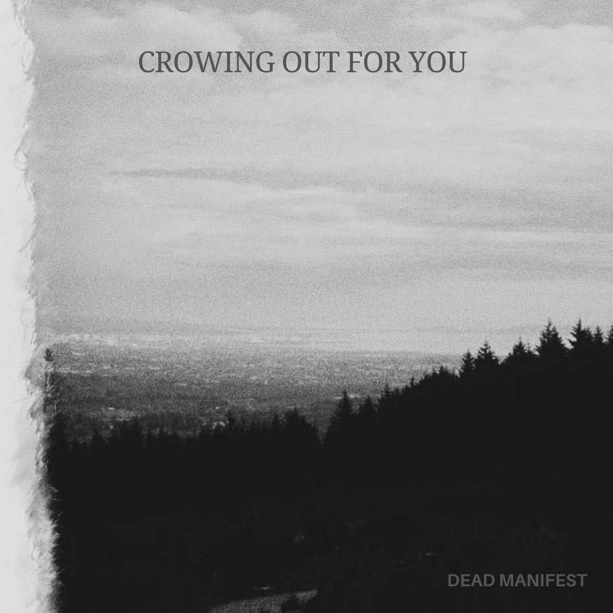 Burke PR and Consultancy tweet media