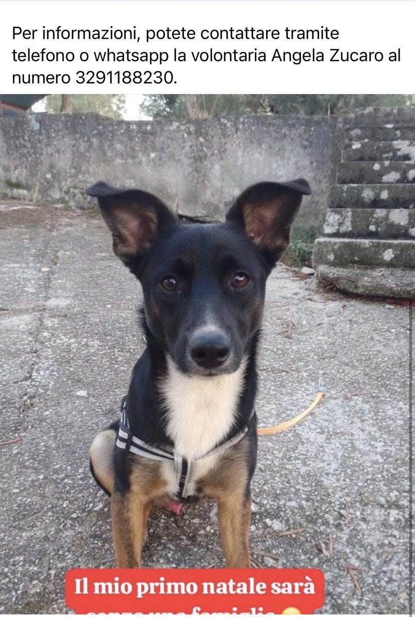 Paola B. (@bsorato) on Twitter photo 