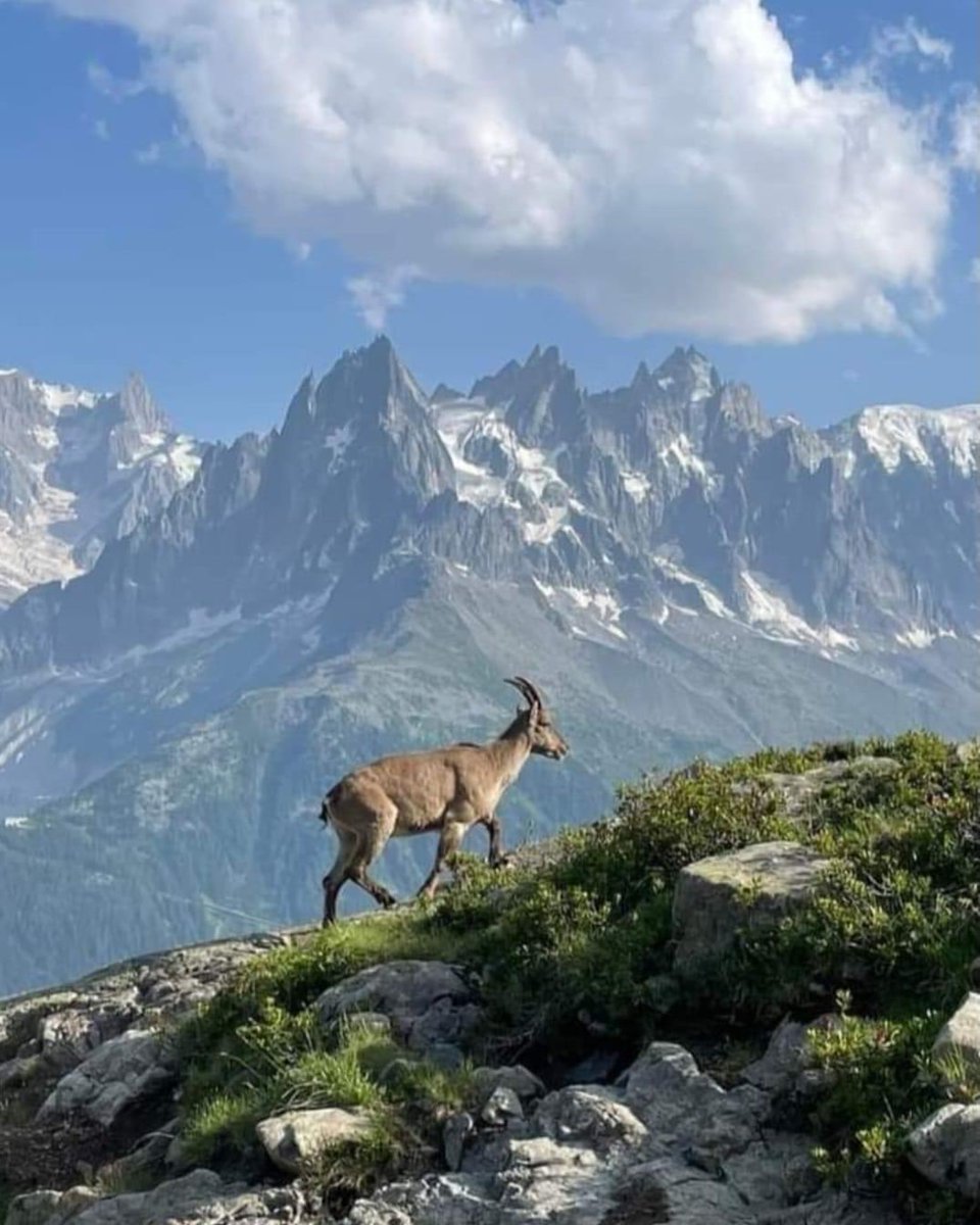 “Tercih ıskalamakla isabet ettirmek arasında değil, 
tetiğe basıp basmamak arasındadır.”
ismetözel