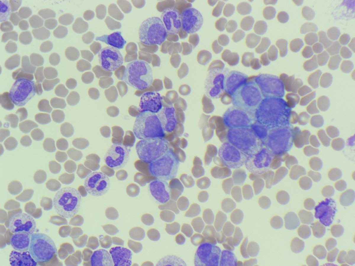 Only Cells tweet media