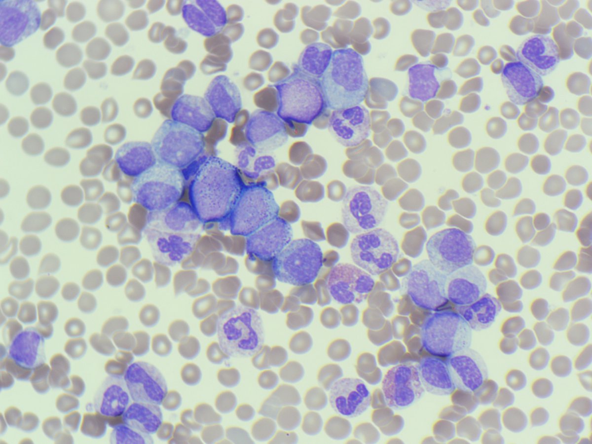 Only Cells tweet media