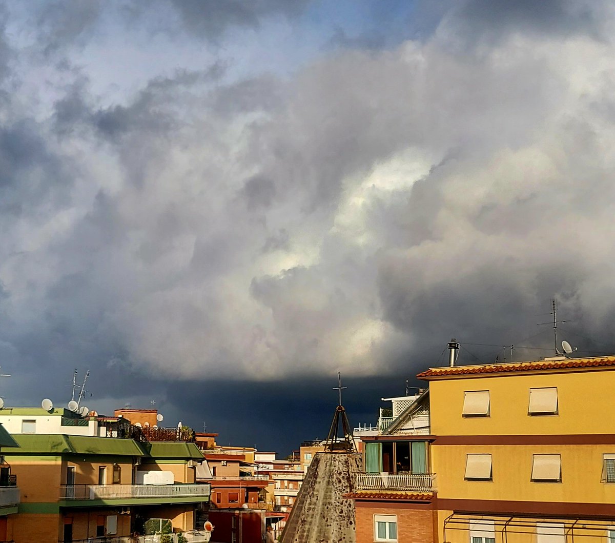 Maria Lea tweet media