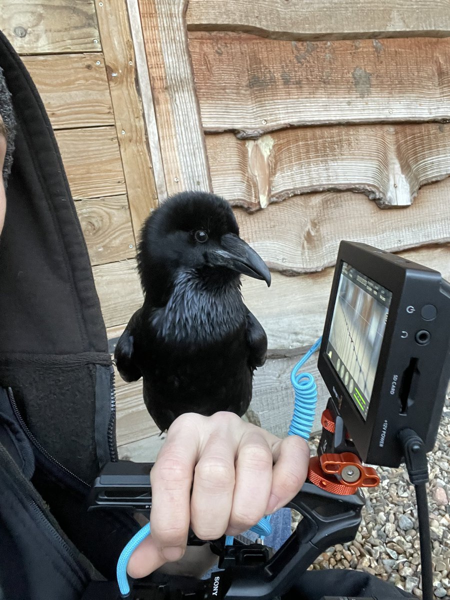 Elliot Manarin tweet media