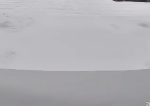 Deploydon tweet media