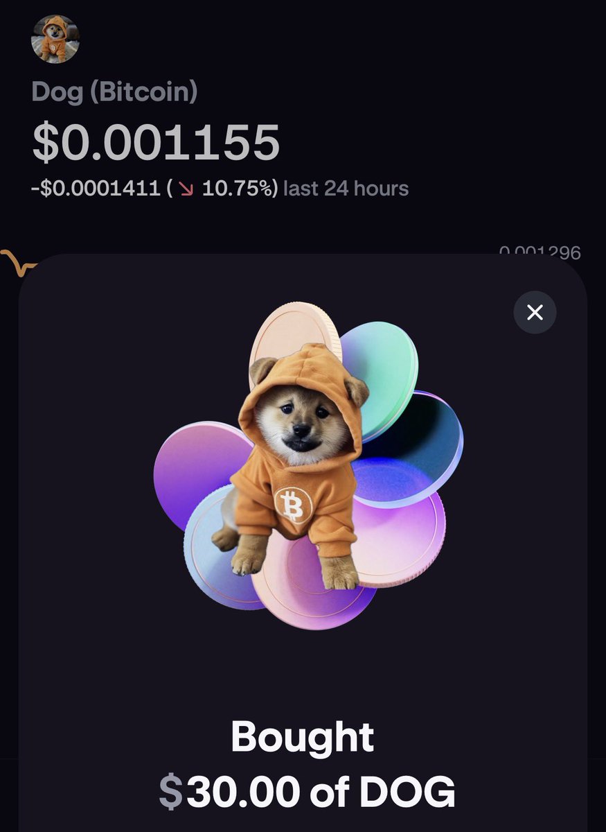 DOG Dips 12% But Holders Buy the Dip on Kraken