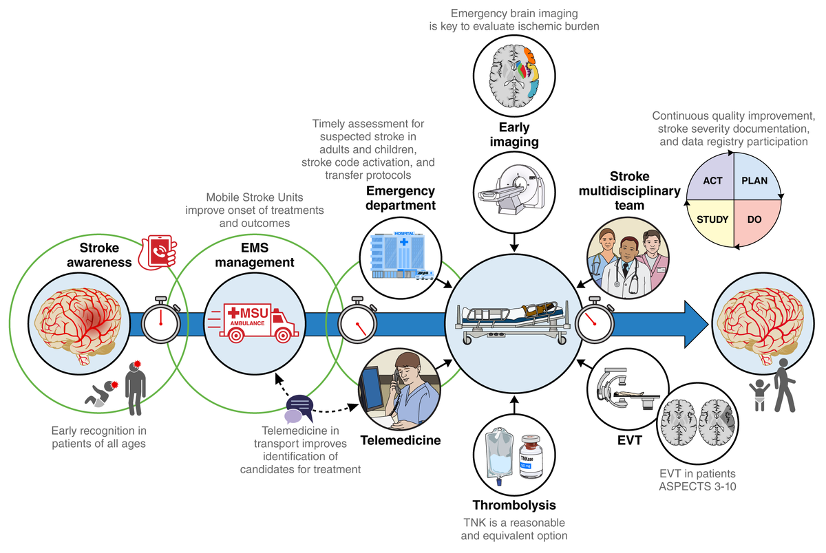 AHAScience's tweet photo. The 2026 Guideline for the Early Management of Patients With Acute Ischemic Stroke aims to cover the full course of the emergency evaluation and early management of the patient with AIS. This includes the earliest interaction with the health care system in the prehospital space, early evaluation and treatment, and in-hospital management of patients with AIS.

📷 Journey of a patient with AIS.

✍🏼 @annealexandrov @AlexandraCzap @OanaDumitrascu5Koto @ashupjadhav @BarrowNeuro @SVINjournal @PoojaKhatriMD @wtkimberly @brianmacgrory @tmadsenem @eva_mistry @natperezossa @strokemaven @PSporns @stavtjoumakaris @WFNeurosurgery @shadiyaghi2