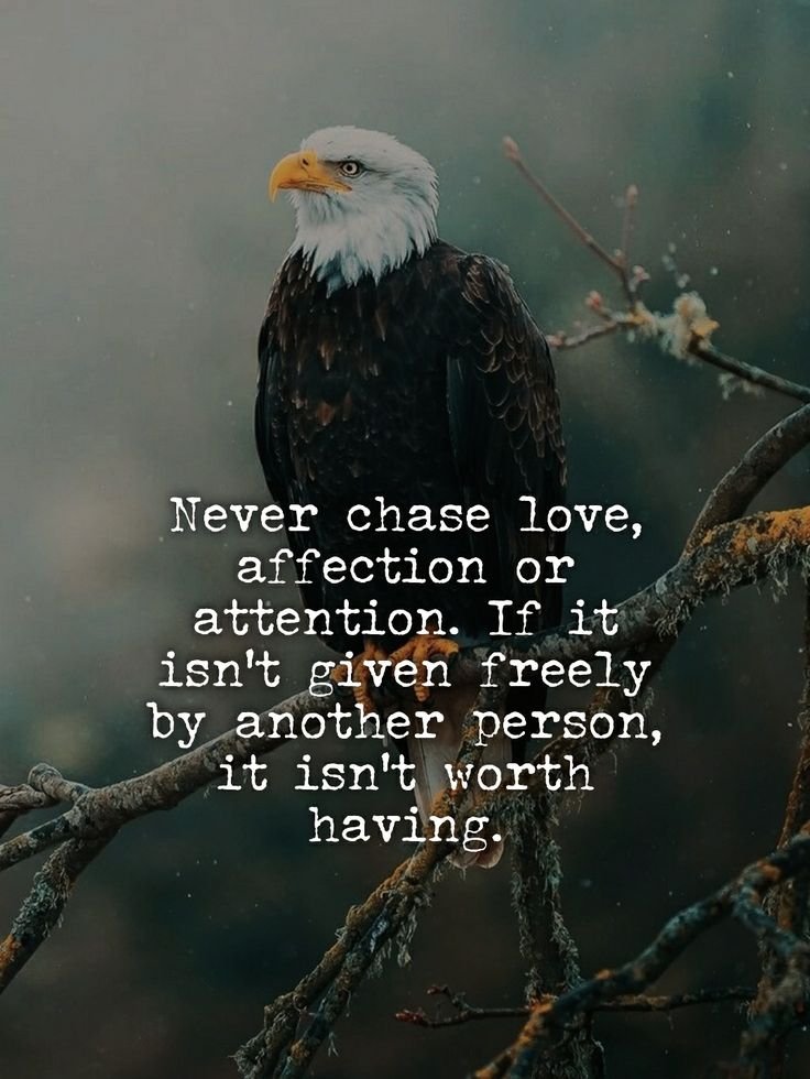 mindfulmaven_'s tweet photo. https://t.co/IjohUpOUjc
