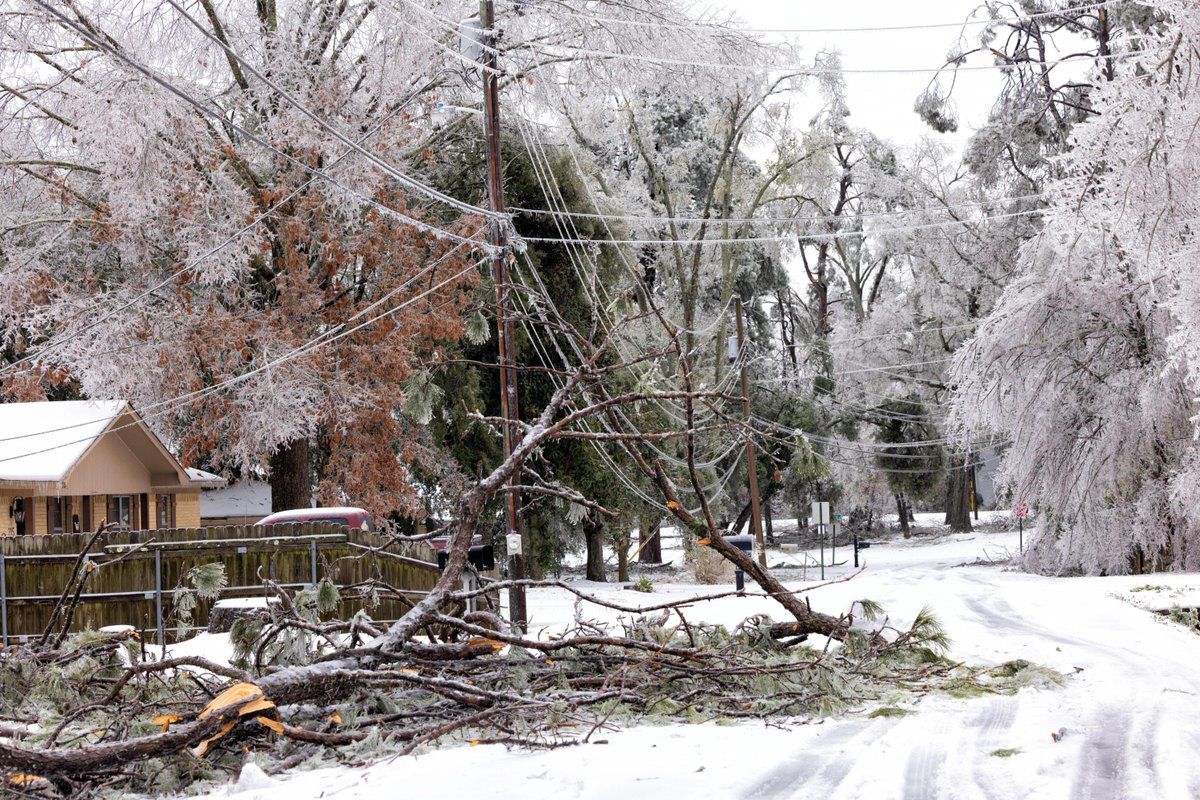 Entergy Louisiana tweet media