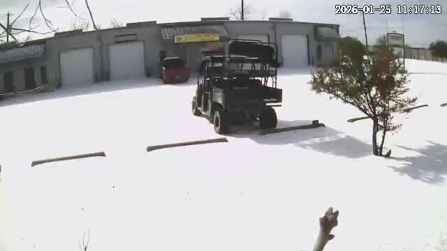 davesbsfun tweet media