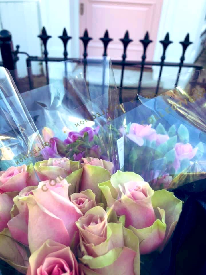 Jill de Villiers tweet media