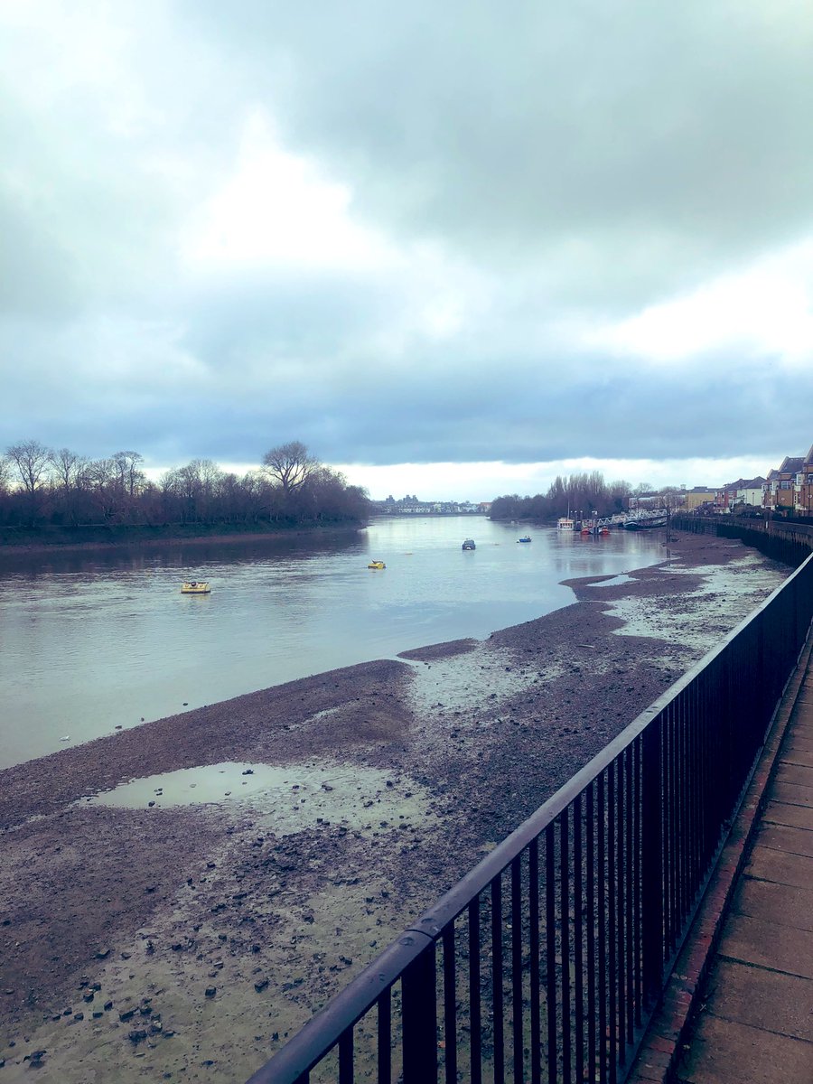 Jill de Villiers tweet media