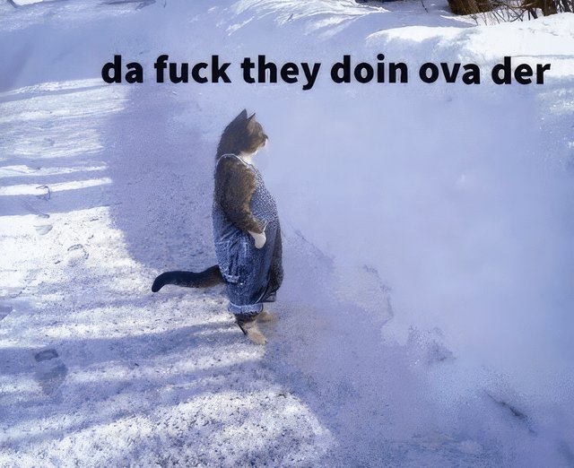 Canada looking at the US every day now.