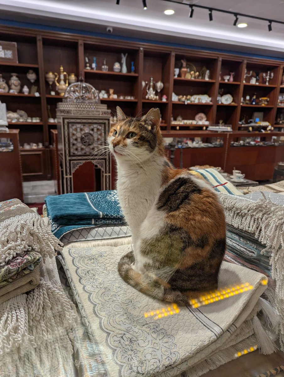 alaa🇲🇦 (@akaaa_alaa) on Twitter photo 