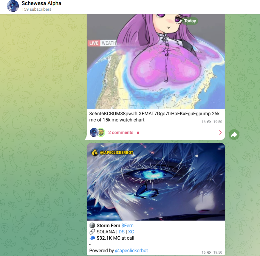 Schewesa tweet media