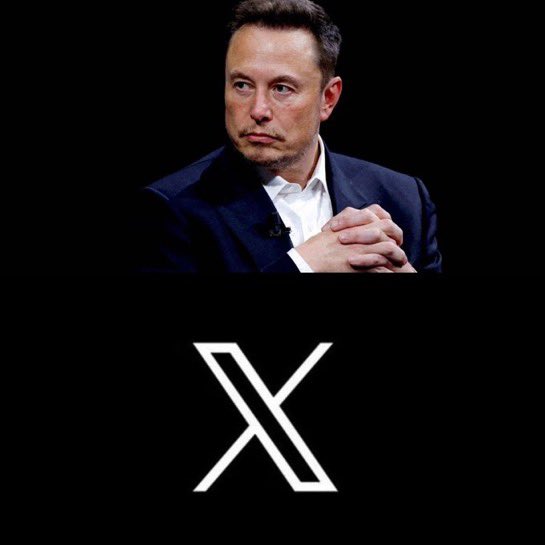 Pirat_Nation's tweet image. Elon Musk to add "mute" option for political posts on X
