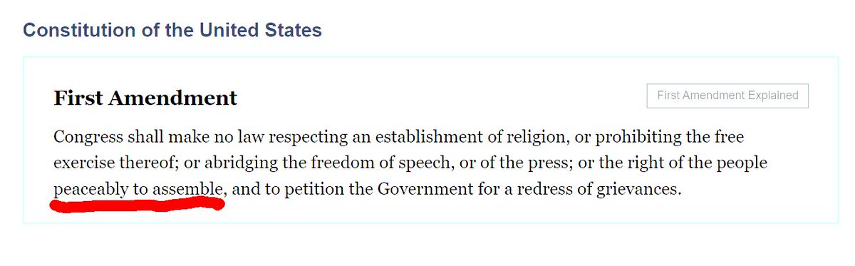 DigitalDaisyX's tweet image. Democrats always seem to forget or conveniently ignore that the First Amendment protects peaceful assembly, not riots, intimidation, or chaos in the streets.