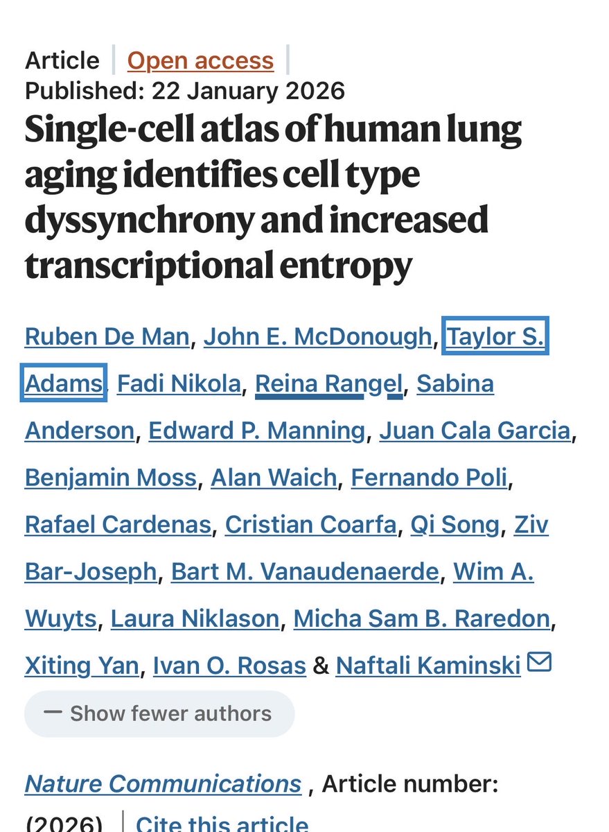 KaminskiMed's tweet image. The Normal Aging Lung Single Cell Atlas is finally out!!! Lung aging is cell-type  dyssynchronous, with alveolar epithelial &amp;amp; endothelial cells showing ⬆️ changes in gene expression, somatic mutations burden, transcriptional entropy. 
👏🏼 @ruben_deman 👏🏼
nature.com/articles/s4146…...