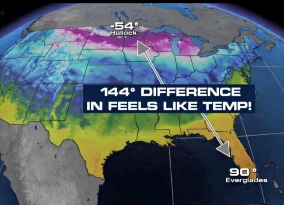 Vanilla Gorilla tweet media