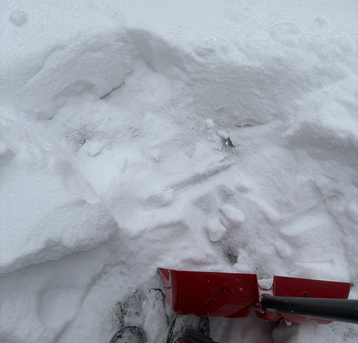 MHause's tweet image. How long do we think I’ll make it shoveling? 😭