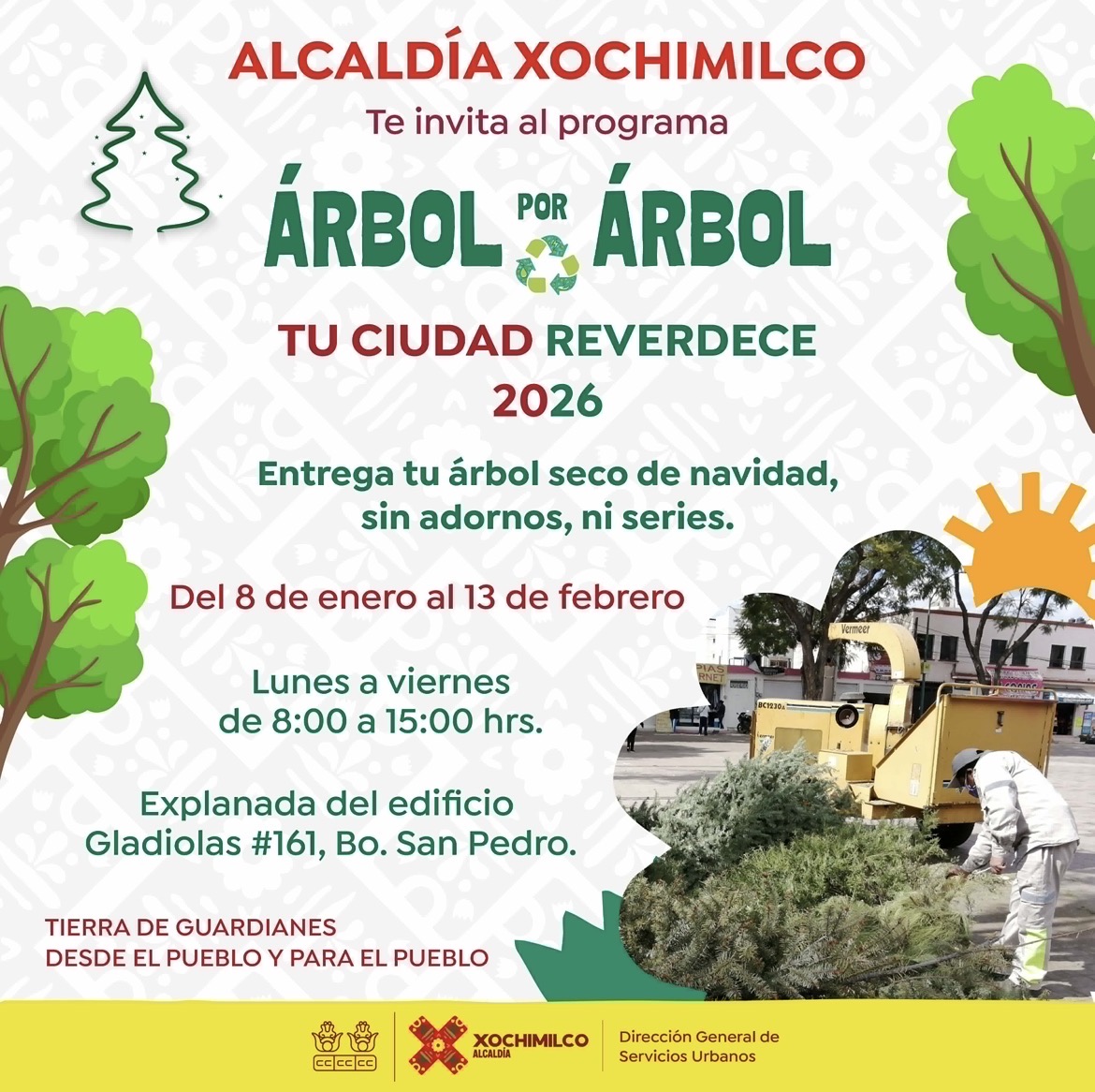 👋 Despídete de tu árbol de Navidad de manera responsable 🎄♻️

Con el programa Árbol por Árbol, tu ciudad reverdece. Trae tu árbol seco a la Explanada del Edificio Gladiolas y súmate a esta acción a favor del medio ambiente.

#TierraDeGuardianes 🌿