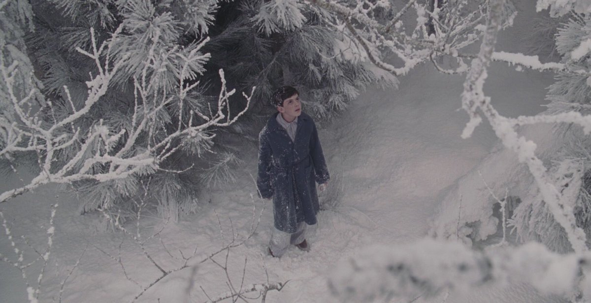 person who thinks they’re a pevensie discovering narnia any time it snows (me)