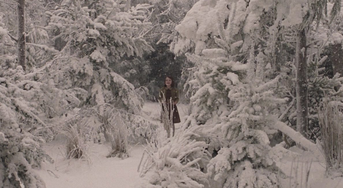 tyler ☠︎︎ tweet media