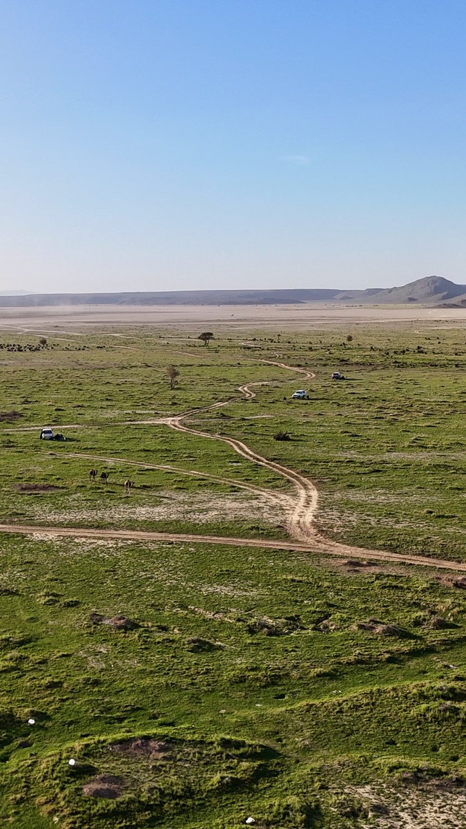 إمارة منطقة المدينة المنورة tweet media