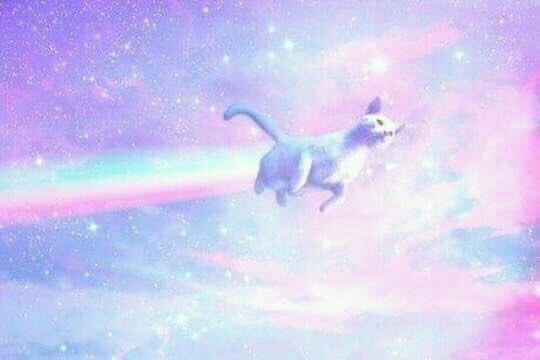 ✰ zoe ✰ tweet media