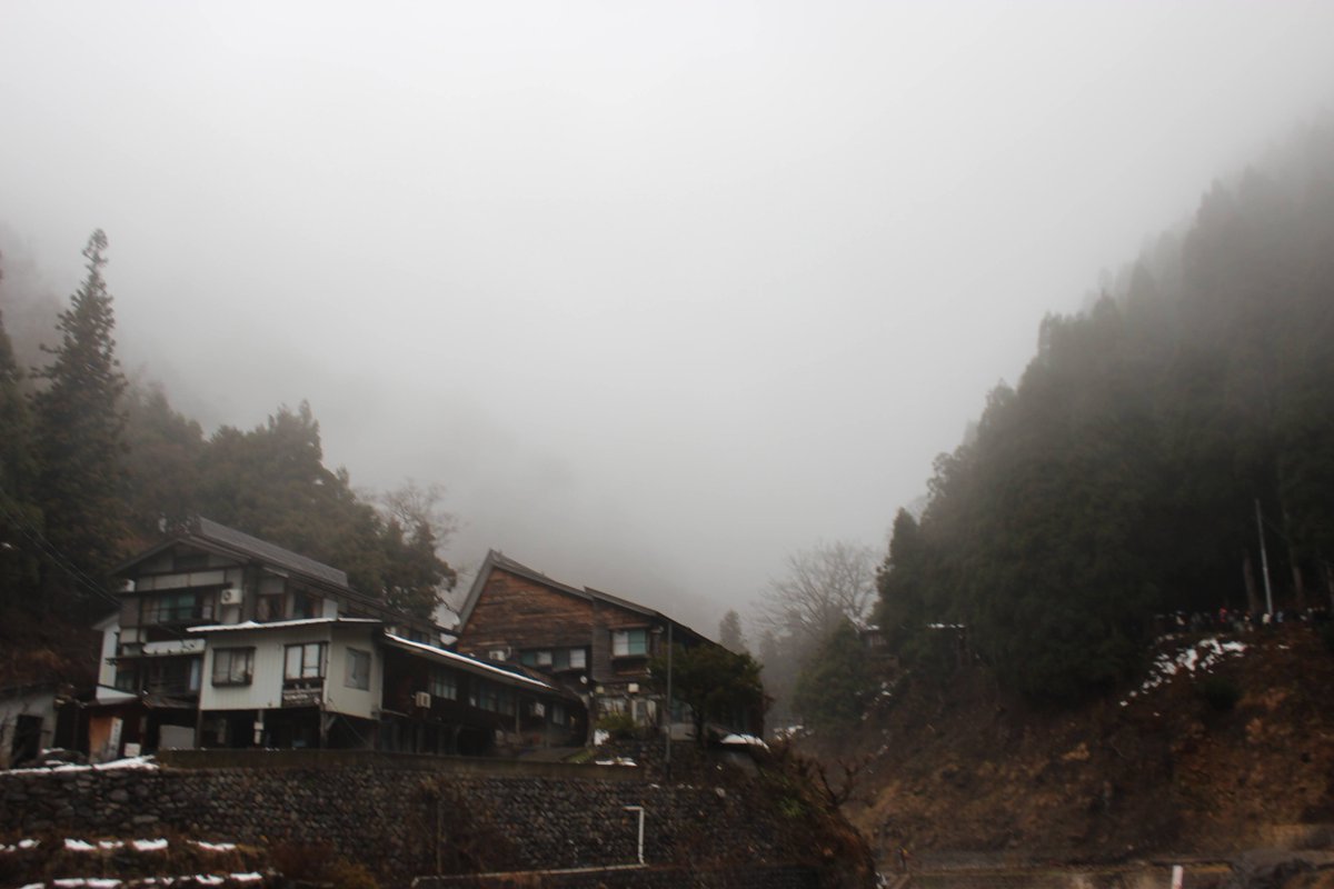 James Cullin tweet media