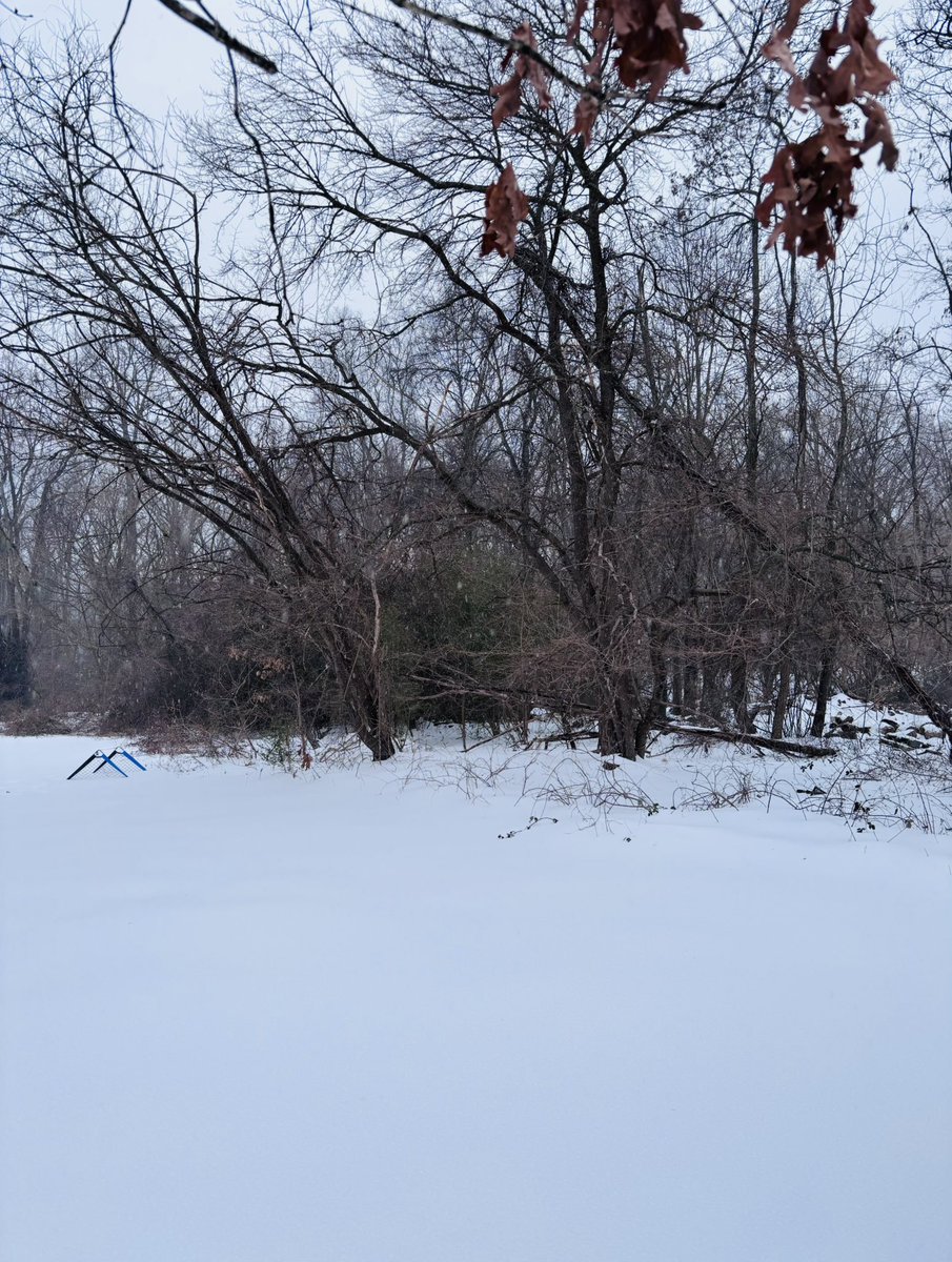 𝔖𝔞𝔯𝔞 𝔈𝔩𝔦𝔷𝔞𝔟𝔢𝔱𝔥 (@sara_seb) on Twitter photo 