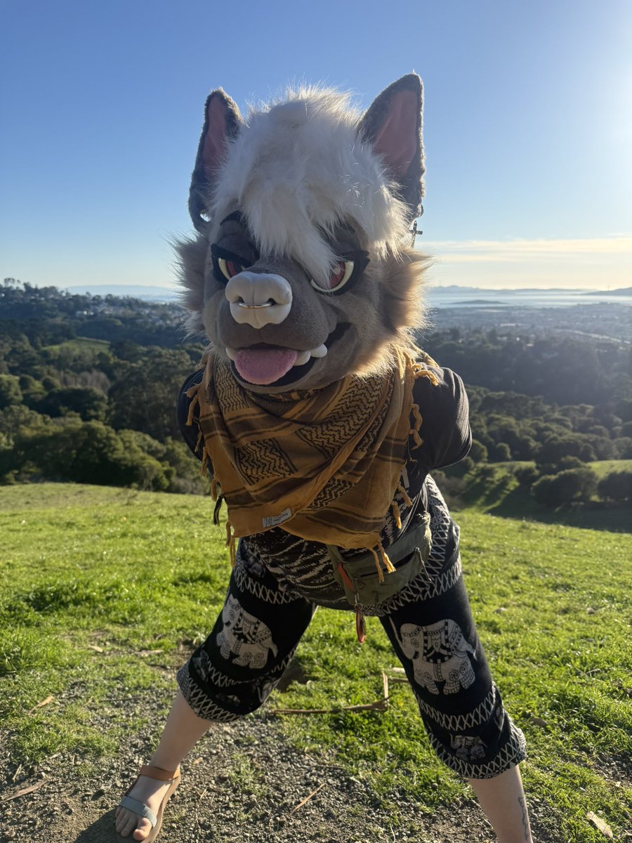 Walkies??? 🥺