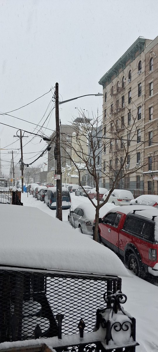 samadwalker's tweet image. It's still snowing 🌨