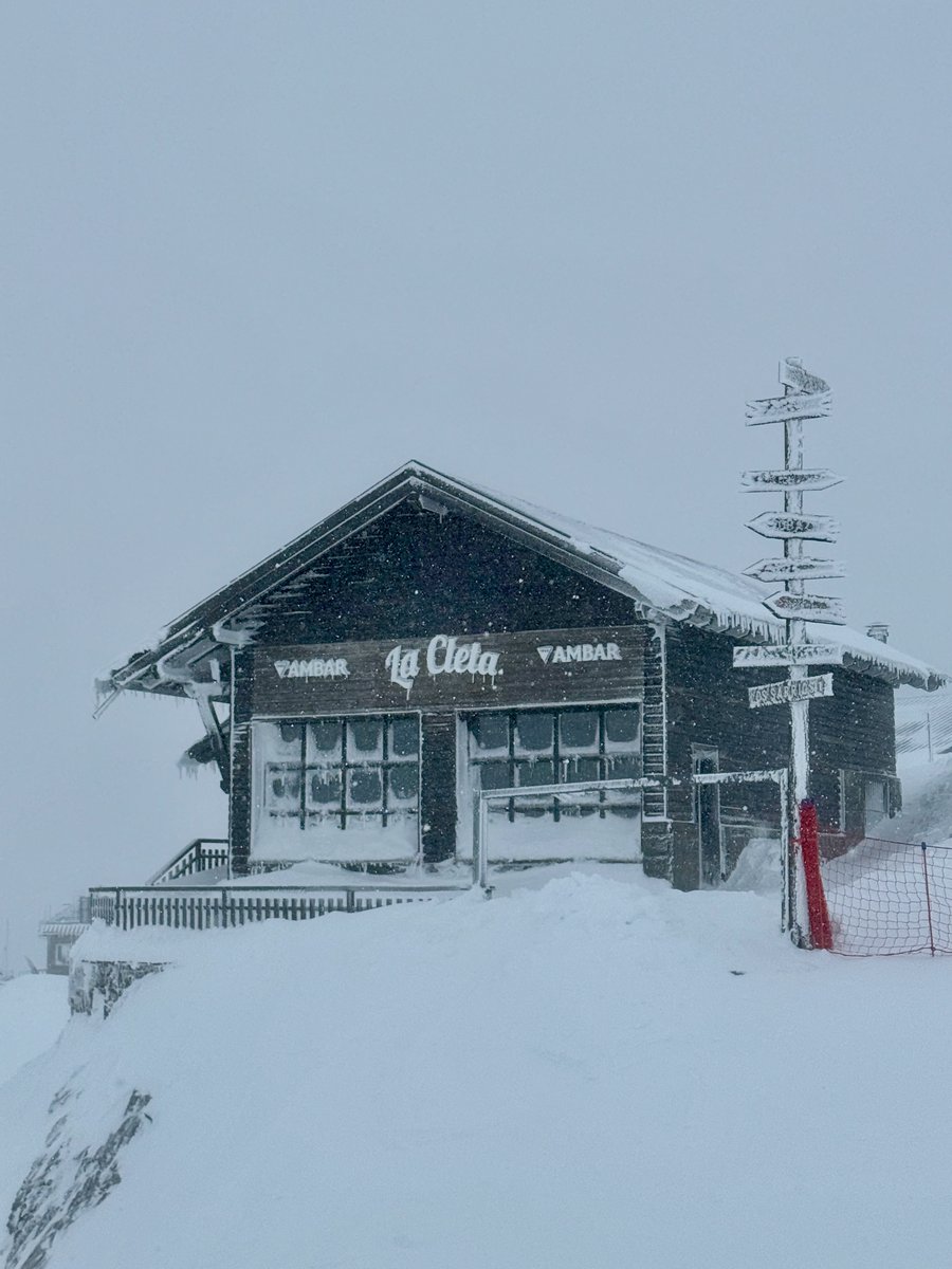 Ricardo Forcano tweet media