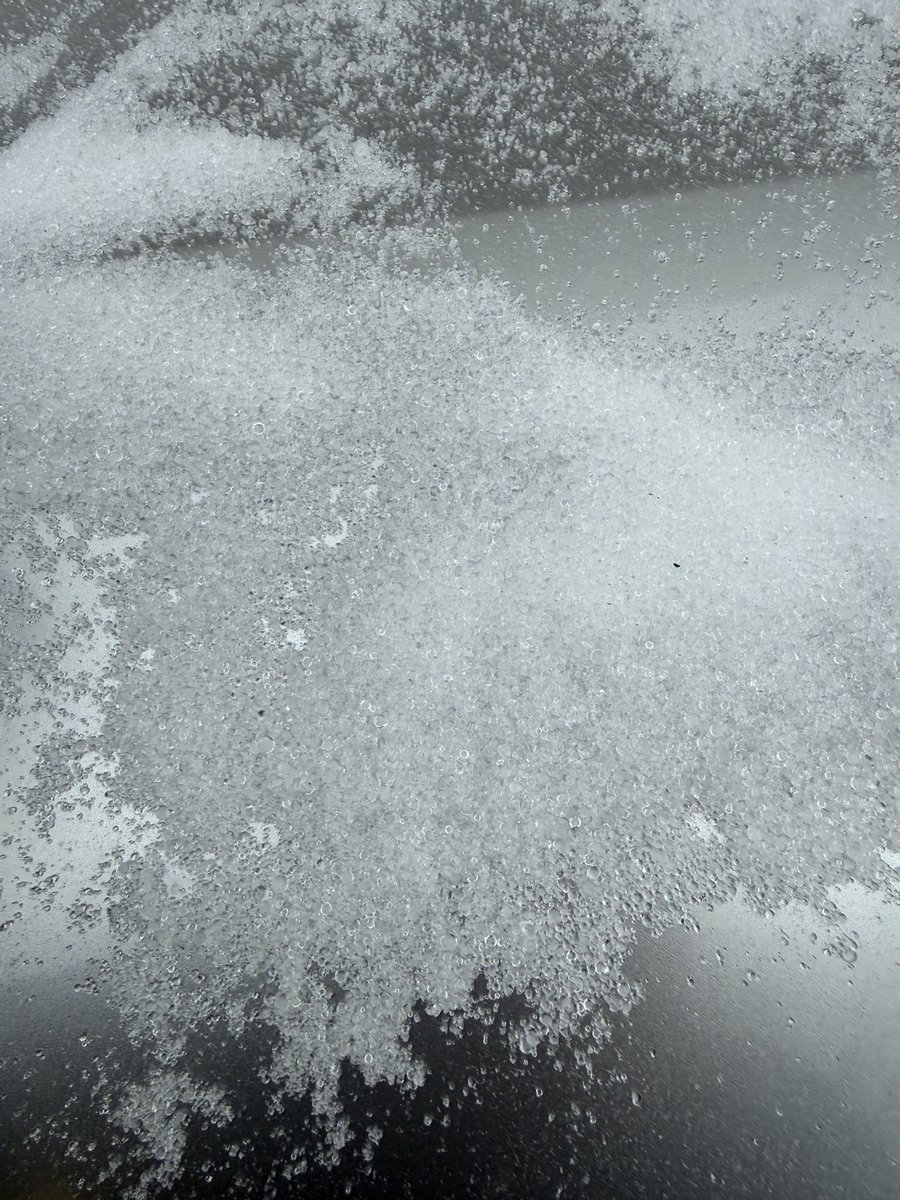 Baby ice crystals in Maryland 🥶