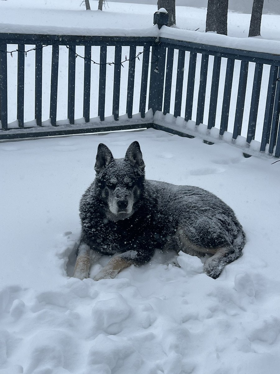 Barbara J. Case tweet media