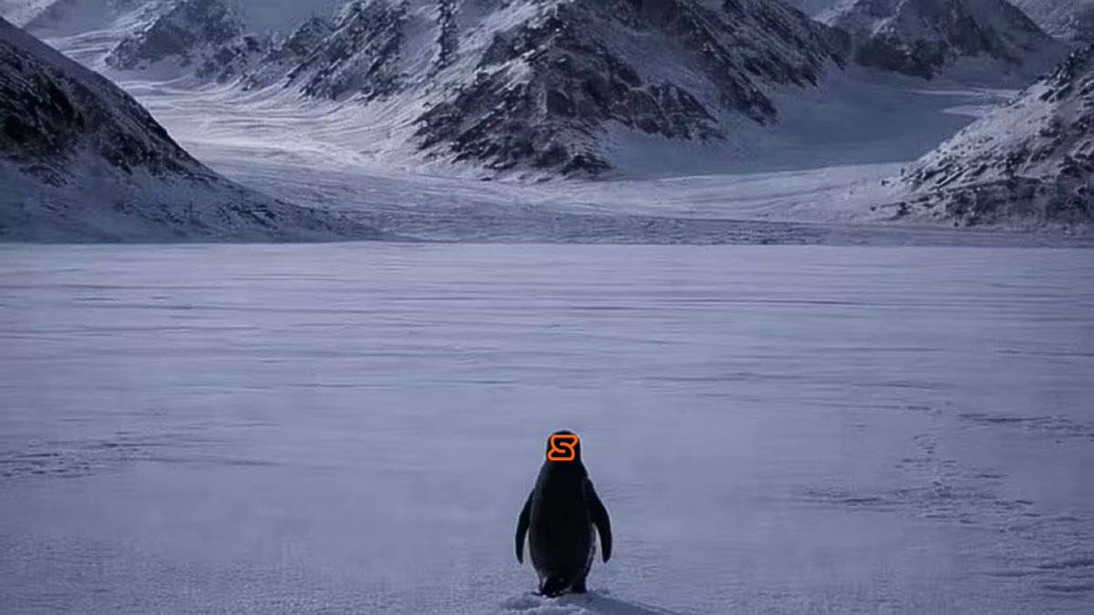 Building the terminal for onchain finance isn't easy, but we chose it.