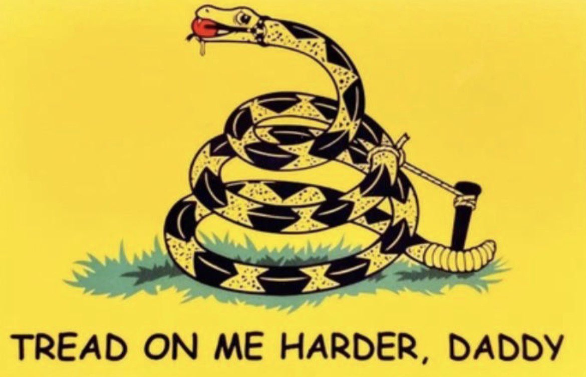 David Demeter tweet media