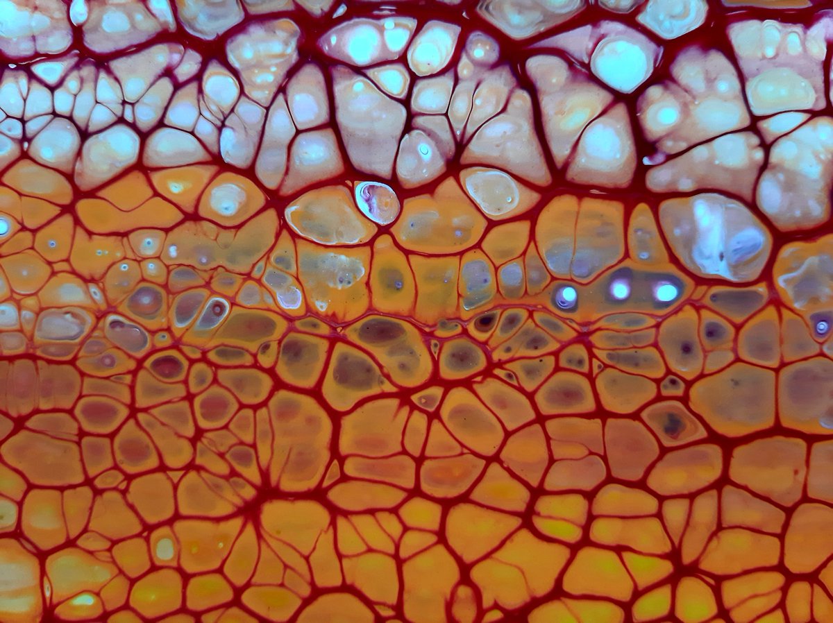 Michael Nelson tweet media