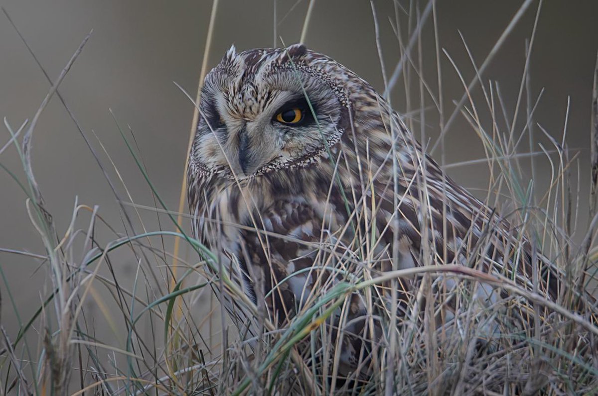 Sean Gray tweet media